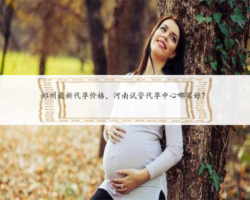 郑州最新代孕价格，河南试管代孕中心哪家好？