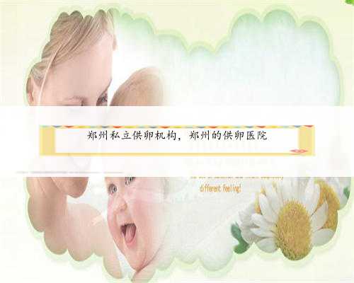 郑州私立供卵机构，郑州的供卵医院