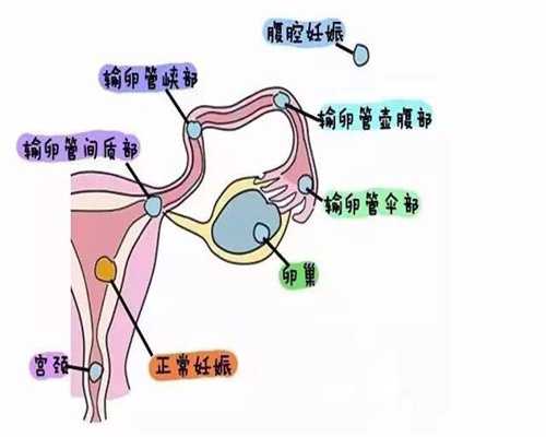 郑州供卵试管生机构供卵试管套餐_宫颈切除治疗对生育能力的影响