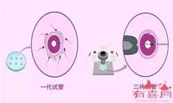 郑州供卵医院排行，试管婴儿对子宫肌瘤者助孕成功率高吗