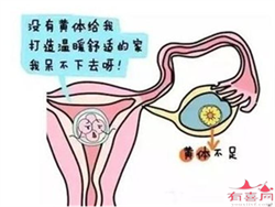 郑州医院供卵费用~医院能做郑州供卵试管，上海崇明月子中心起步多少钱 月子